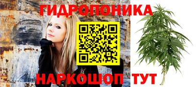 винт Пенза