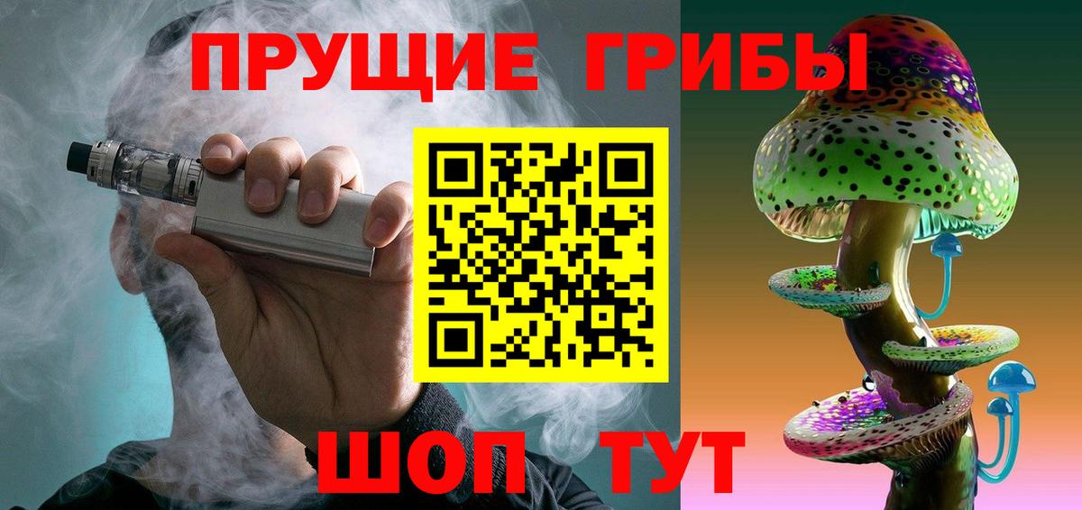 Галлюциногенные грибы Psilocybine cubensis Советский