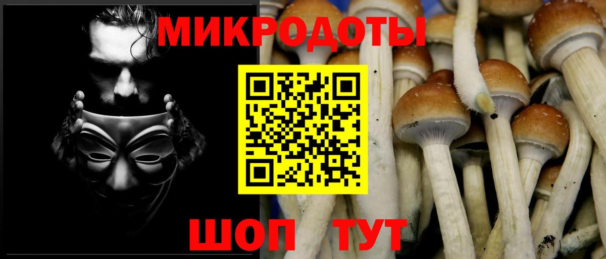 Галлюциногенные грибы Psilocybine cubensis  Галлюциногенные грибы MAGIC MUSHROOMS  Советский  Вход с VPN 